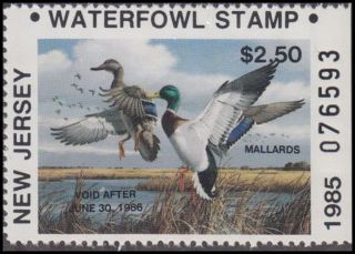 1985 Jersey State Resident Duck Stamp Never Hinged Vf photo