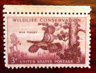 Stamp Us 3c Wild Turkey,  Cat.  1077 Nh/og photo