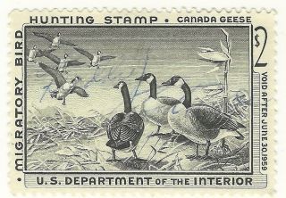 1959 (rw - 25) Duck Stamp. photo