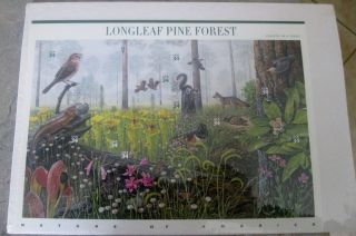 Longleaf Pine Forest - Full Sheet - Scott ' S 3611 Usps Factory photo
