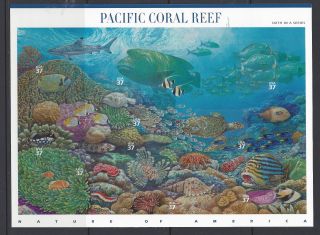 3831 Pacific Coral Reef Sheet photo