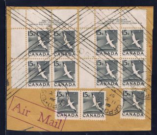 Canada 343 (1) 1954 15 Cent Black Gannet Plate Block ' S 1 & 2 & 3 Singles photo