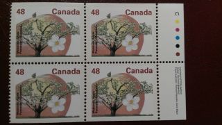 Canada Fruit Trees Definitive Booklet Pane Block Of Four; 1363a 48¢ C.  V.  $7.  60+ photo