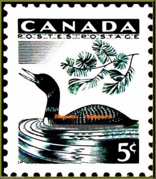 Canada 1957 Vintage Rare Canadian Wildlife Loon Duck Fv Face 5 Cent Stamp photo