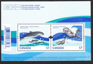 Canada - 2387 Marine Life Souvenir Sheet - Joint Issue With Sweden - photo