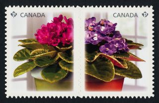 Canada 2377 - 8i African Violets,  Flowers photo