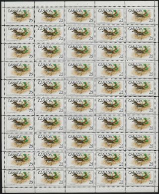 Canada 498 Sheet Hermit Thrush,  Bird (field Stock) photo
