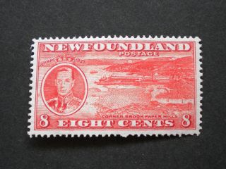 Newfoundland 1937 8 Cents Sg 260 photo