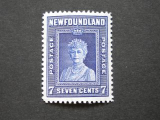 Newfoundland 1941 7 Cents Sg 281 photo