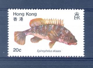 Hong Kong Sg 395 W 1981 Watermark Crown To Left Of Ca Variety On Fish Stamp. photo