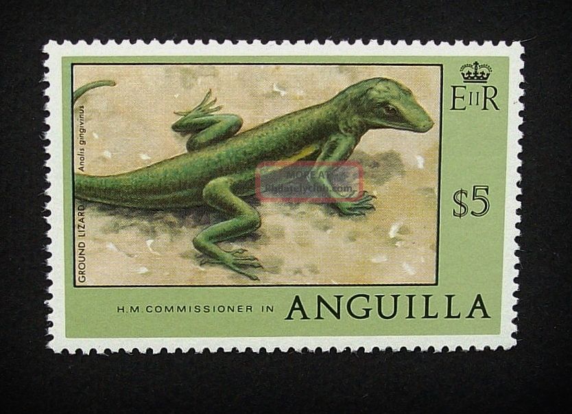 Anguilla Qeii $5 Stamp C1977 Ground Lizard,  Unmounted A859 British Colonies & Territories photo
