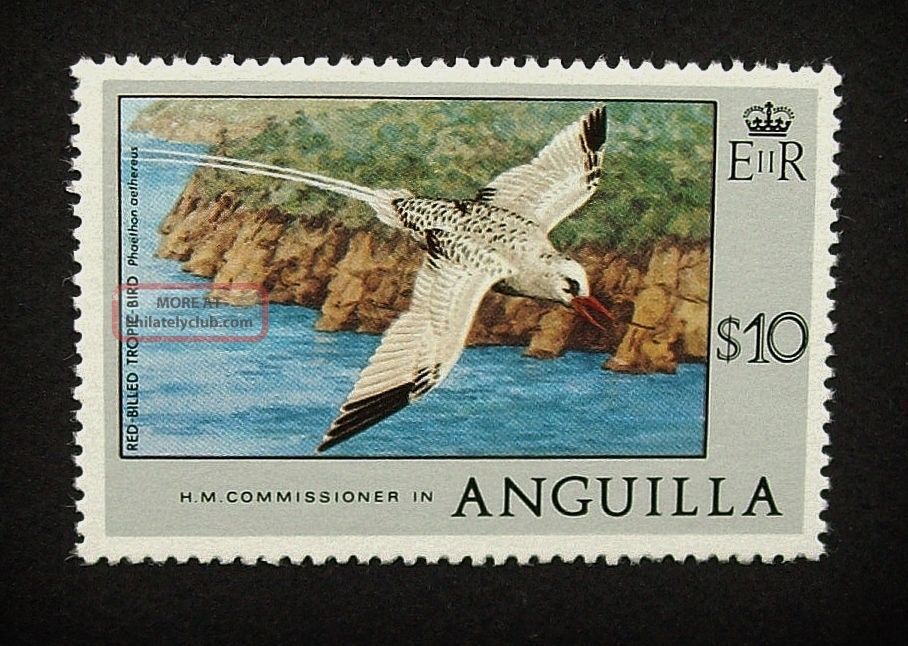Anguilla Qeii $10 Stamp C1977 Red - Billed Tropic Bird,  Unmounted A860 British Colonies & Territories photo