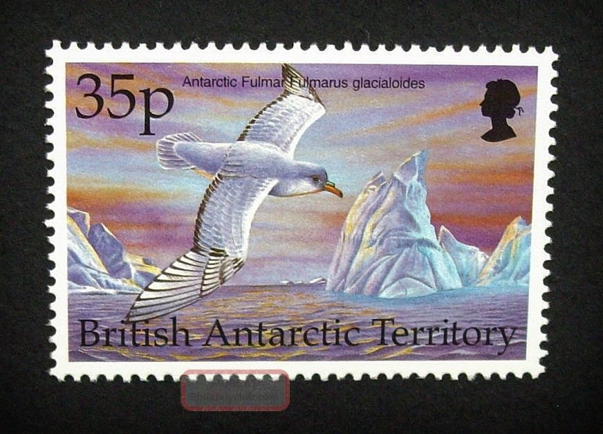 British Antarctic Territory Qeii 35p Bird Stamp C1993 Antarctic Fulmar,  Um,  A918 British Colonies & Territories photo