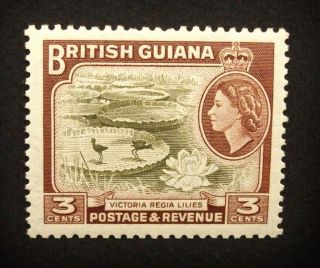 British Guiana Qeii 3c Stamp C1954 - 63 Victoria Regia Lilies,  Lmm,  A924 photo