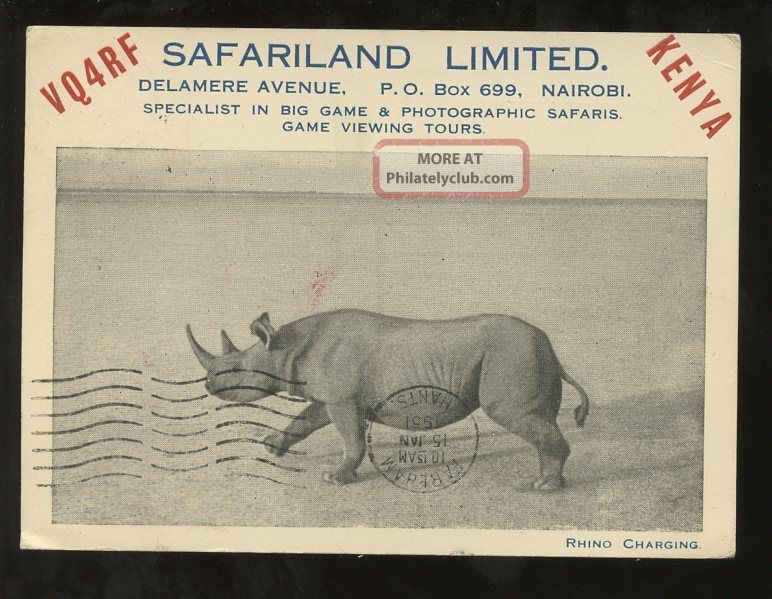 Kenya 1951 Ppc Rhino Radio Card Vq4rf Safari Land Advertising British Colonies & Territories photo