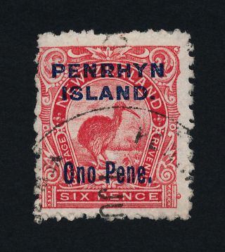 Penrhyn Islands 11 - Bird,  Kiwi photo