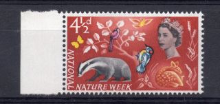 Gb = Constant Variety,  1963 4 1/2d Nature Week.  R14/1. photo