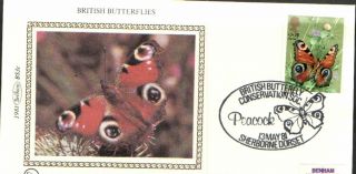 (30091) Benham Silk Fdc - Peacock Butterfly 1981 Butterfly Conservation Postmark photo