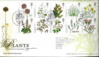 2009 Plants Edinburgh Hand Stamp Item See Scan photo