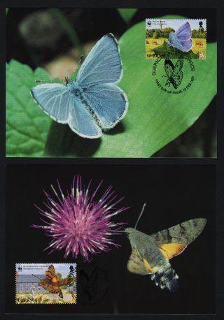 Guernsey 586 - 9 Maxi Cards = Butterflies,  Flowers,  Architecture photo
