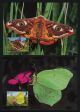 Guernsey 586 - 9 Maxi Cards = Butterflies,  Flowers,  Architecture Great Britain photo 1