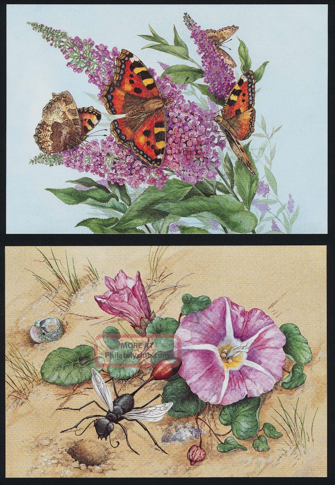 Alderney 98,  100 Maxim Cards - Butterflies,  Flowers Great Britain photo