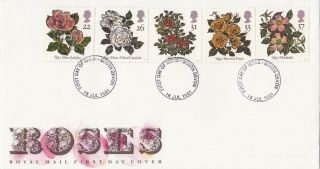 (26391) Gb Fdc Roses - South Devon 16 July 1991 photo
