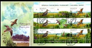 2007.  Birds.  Joint Issue Of Belarus & Lithuania.  Fdc photo