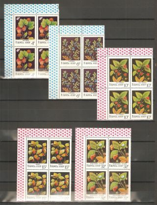 Ussr 1982. . .  N° Yt 4887 - 91. . . . . . .  Blocs Of 4. . . .  Forest Fruits photo