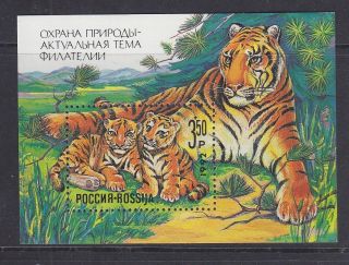 Russia 1992 Nature Conservation Tiger M/s photo