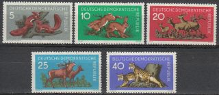 East Germany Ddr 1959 Sc 471 - 75 Wild Animals Squirrel Hare Roe Deer Lynx photo