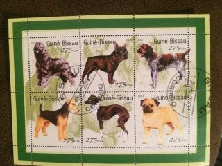 Guine Bissau Guinea Guinee 2001 Chiens Dogs Sheet Of 6x300f 15975 - 5 photo