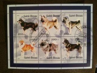 Guine Bissau Guinea Guinee 2001 Chiens Dogs Sheet Of 6x275f 15974 - 5 photo