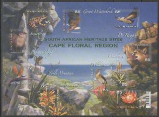 South Africa 2011 Cape Floral Self Adhesive Sheet photo