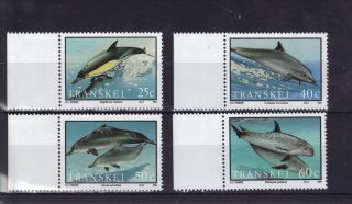 South Africa Transkei 1991 Dolphins Sg265 - 268 Unmounted R:y517 photo