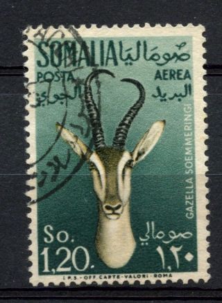 Somalia 1955 Sg 295,  1s20 Air,  Gazelle A68770 photo