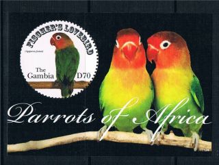 Gambia 2011 Lovebirds 1v Ms photo