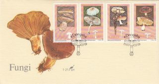 (22526) Ciskei Fdc - Mushrooms / Fungus 1987 photo