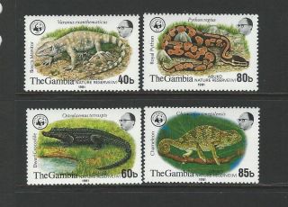 Gambia 1981 Sc 432 - 435 Reptiles Www Nature Reserve photo