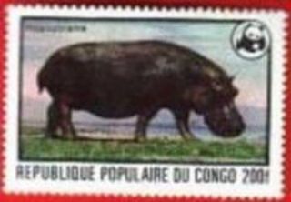 Congo Nh Stamp Scott 457 Wwf Hippopotamus photo
