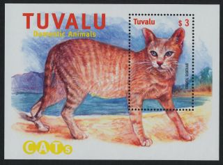 Tuvalu 842 Oriental Shorthair Cat photo