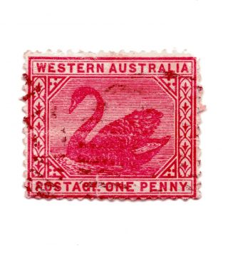 Western Austrailian One Penny Swan 62 1890 - 1893 photo