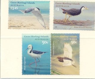 Cocos - Keeling Islands - Visiting Birds 2008 (434 - 437) photo