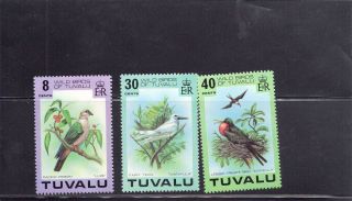 Tuvalu 1978 Wild Birds Scott 73,  75 - 76 photo
