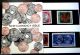 Png Decimal Poy Early Collectors Packs Face Value $295.  Save Australia & Oceania photo 5