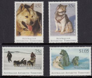 1994 Aat/antarctic/polar/husky Dog/fauna/wildlife Vf photo