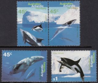 1995 Aat/antarctic/polar/killer Whale/orca/dolphin/sealife/marine Vf photo