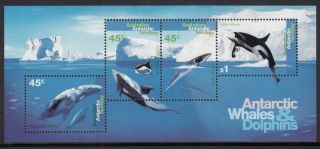 1995 Aat/antarctic/polar/killer Whale/orca/dolphin/sealife/marine S/s Vf photo
