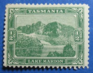 1904 Tasmania Australia 1/2d Scott 94 S.  G.  237b Cs16689 photo