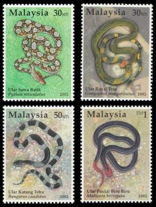 Species Of Snakes In Malaysia 2002 Reptiles Animal Fauna (stamp) photo